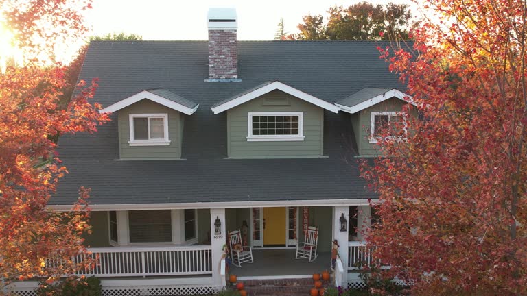 Best Asphalt Shingles Roofing  in Marine, IL