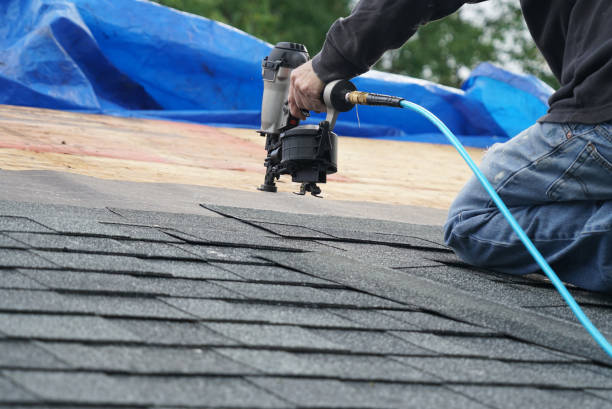 Best 4 Ply Roofing  in Marine, IL