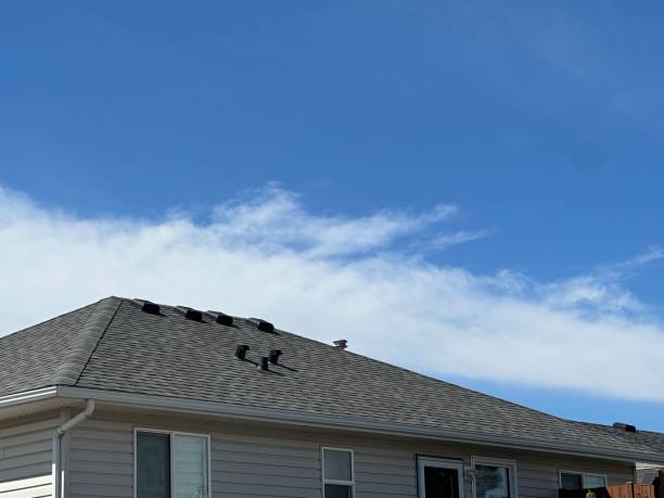 Best Roof Leak Repair  in Marine, IL